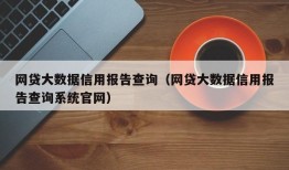 网贷大数据信用报告查询（网贷大数据信用报告查询系统官网）